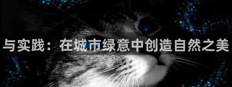 新宝gg待遇:与实践:在城市绿意中创造自然之美