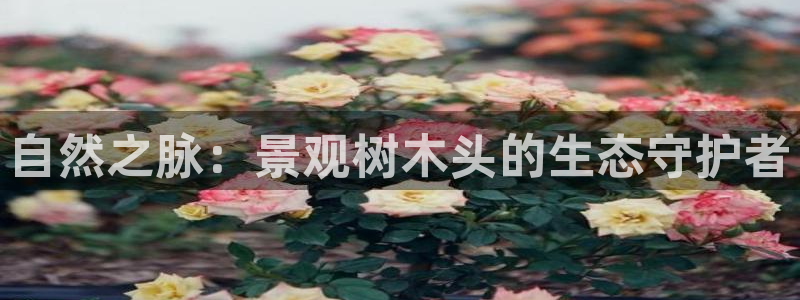 新宝gg漏洞:自然之脉:景观树木头的生态守护者