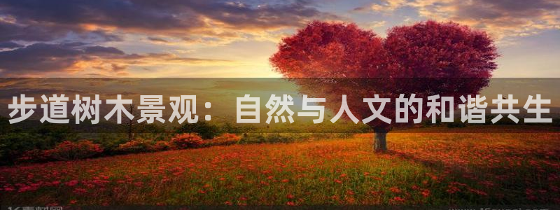 注册新宝gg:步道树木景观:自然与人文的和谐共生